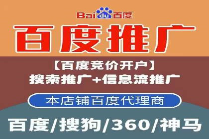 竞价广告的投放策略与效果评估——以一成功企业为例